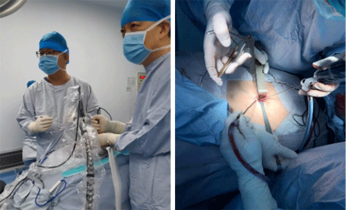 微信截图_20230313092606.gif 微信截图_20230313092606.gif