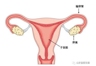 微信截图_20230619155626.png