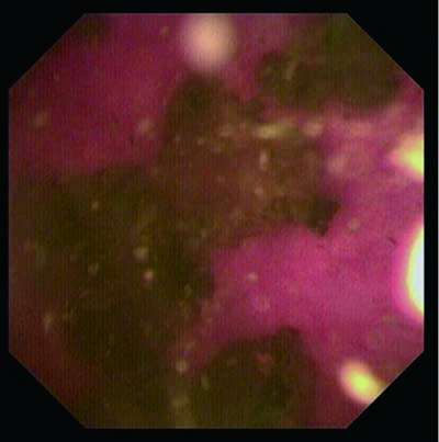 SL0542.jpg