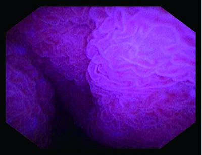 SL0544.jpg