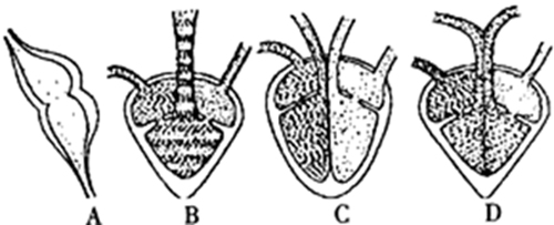 640 (4)_1.jpg 640 (4)_1.jpg