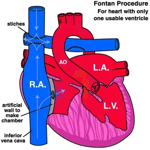 640 (3)_1.jpg 640 (3)_1.jpg