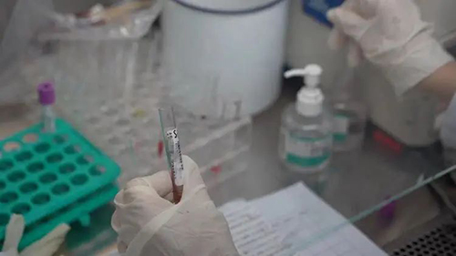 微信图片_20230919110017.jpg 微信图片_20230919110017.jpg