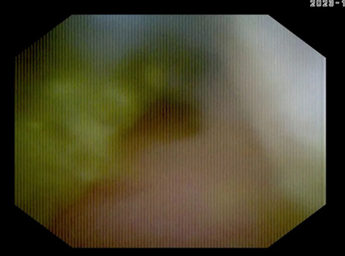 640.jpg