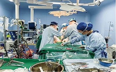 SL0233.png SL0233.png