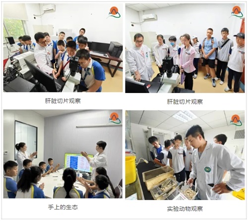 微信图片_20240710074609.jpg 微信图片_20240710074609.jpg