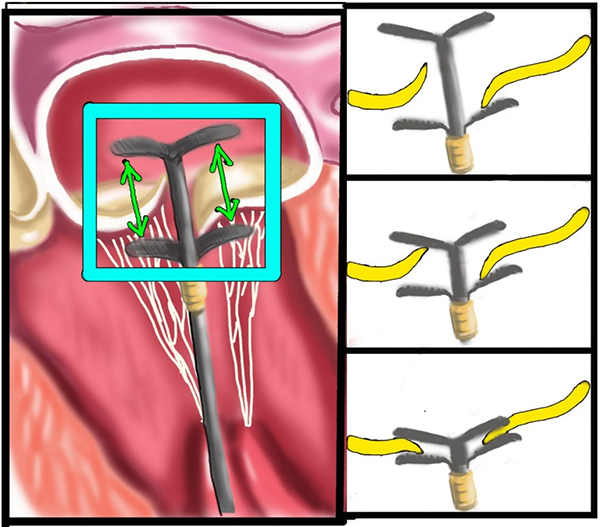 图片6.jpg 图片6.jpg