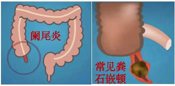 图片13.jpg 图片13.jpg