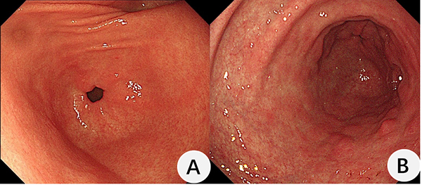 图片19.jpg 图片19.jpg