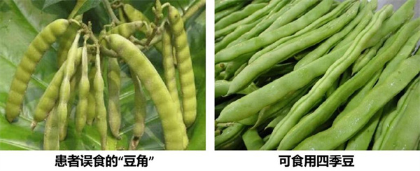 微信图片_20250529093452.jpg 微信图片_20250529093452.jpg