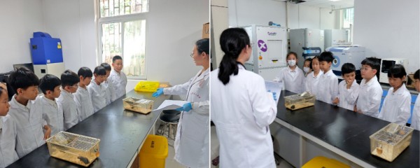 拼12 (2).jpg 拼12 (2).jpg