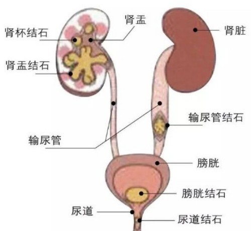 图片 1(3).jpg 图片 1(3).jpg