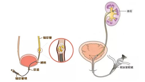 图片6.jpg 图片6.jpg