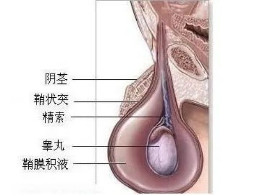 图片 1(2).jpg 图片 1(2).jpg