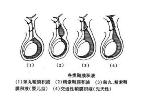 图片 2(2).jpg 图片 2(2).jpg