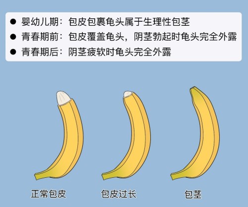 图片 1.jpg 图片 1.jpg