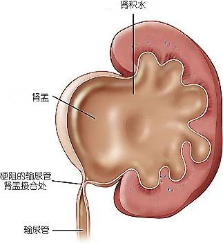 图片 1.jpg 图片 1.jpg