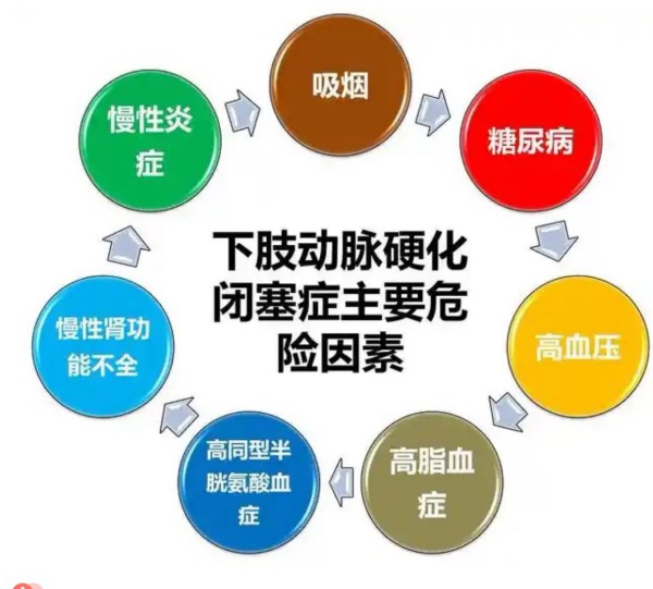 图片 3.jpg 图片 3.jpg
