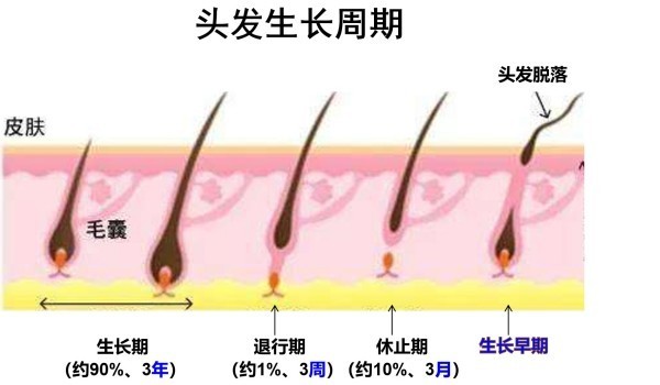 图片 3.jpg