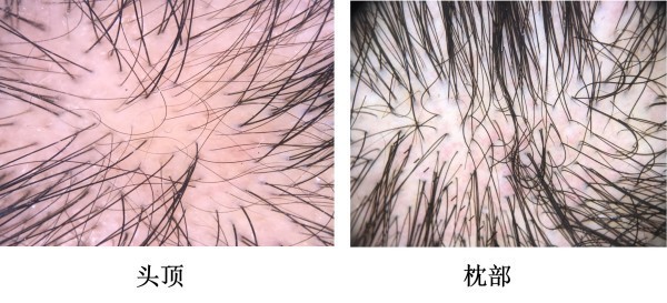 图片 6.jpg