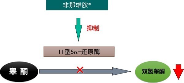 图片 7.jpg