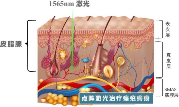 图片 2.jpg