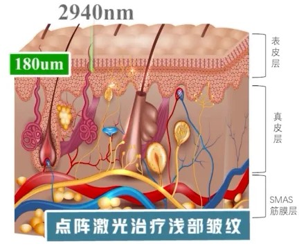 图片 3.jpg