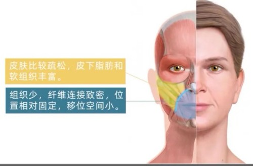 图片 2.jpg