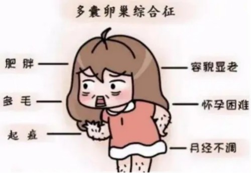 图片 4.jpg 图片 4.jpg