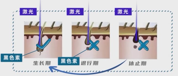图片 1.jpg 图片 1.jpg