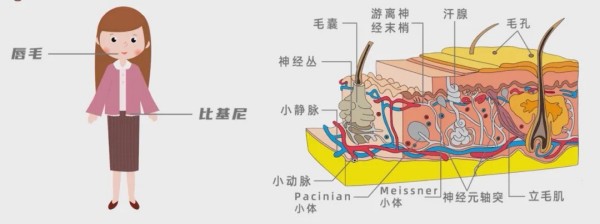 图片 4.jpg 图片 4.jpg