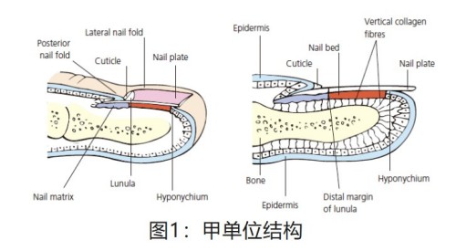 图片 1.jpg 图片 1.jpg