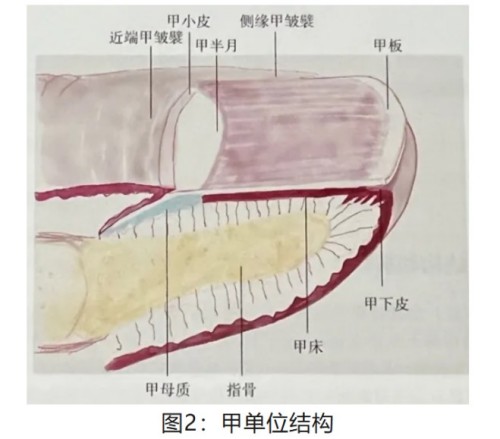 图片 2.jpg 图片 2.jpg