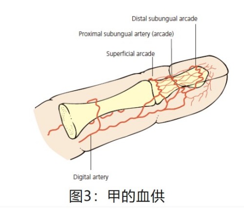 图片 3.jpg 图片 3.jpg