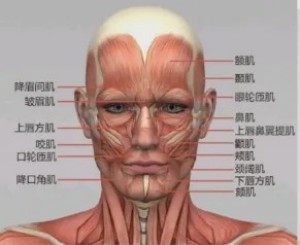 图片 2.jpg 图片 2.jpg