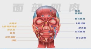 图片 3.jpg 图片 3.jpg