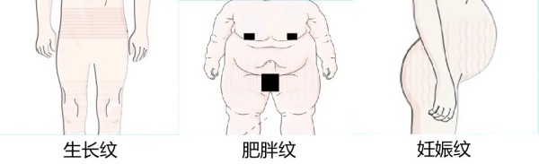 图片 2.jpg 图片 2.jpg