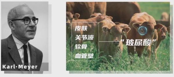 图片 2.jpg 图片 2.jpg