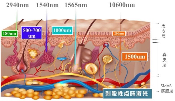 图片 3.jpg 图片 3.jpg