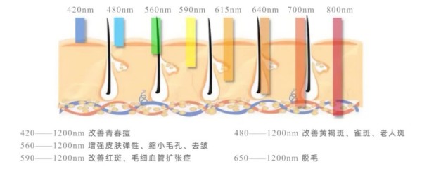 图片 3.jpg 图片 3.jpg