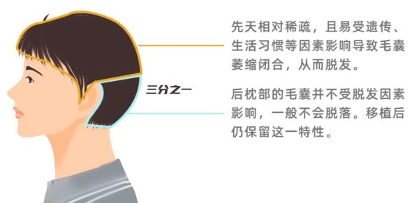图片 3.jpg 图片 3.jpg