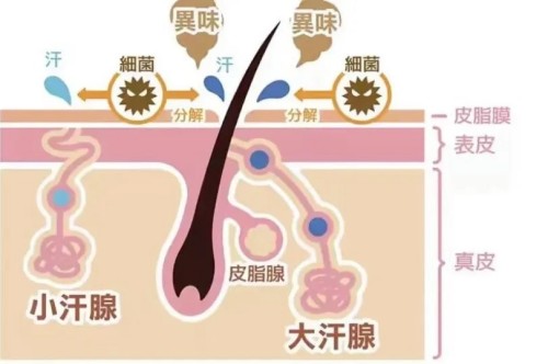 图片 2.jpg 图片 2.jpg