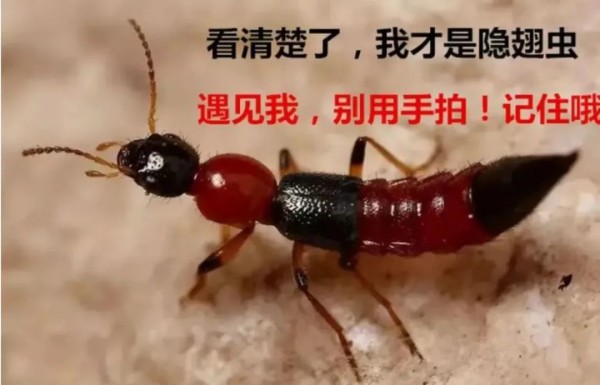 图片 1.jpg 图片 1.jpg