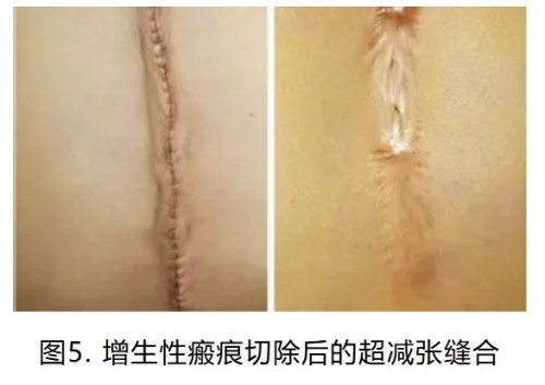 图片 3.jpg