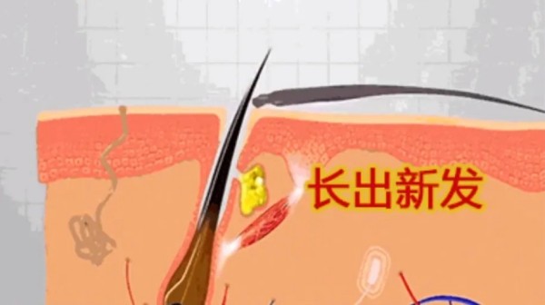 图片 2.jpg 图片 2.jpg