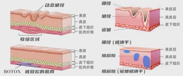 图片 2.jpg 图片 2.jpg