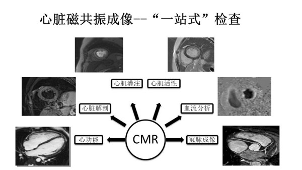 图片 1.jpg 图片 1.jpg
