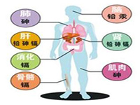 铅和汞等重金属中毒