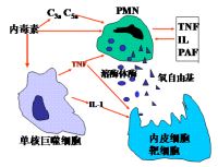 多器官功能障碍综合征