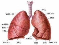 肺部恶性肿瘤